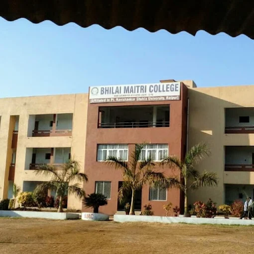 Bhilai Maitri College